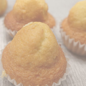 * Lote 3 (portes incluidos)